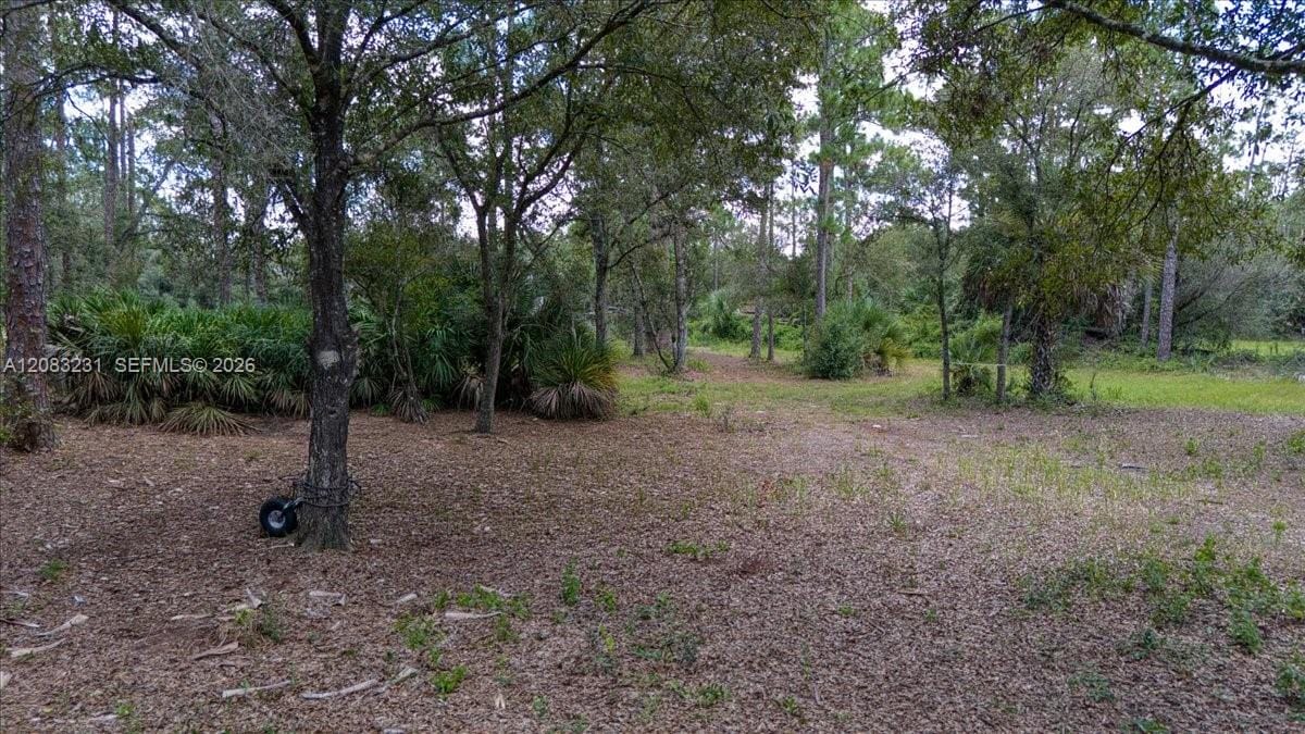470 S Jinete Street, Clewiston, FL 33440 photo 18