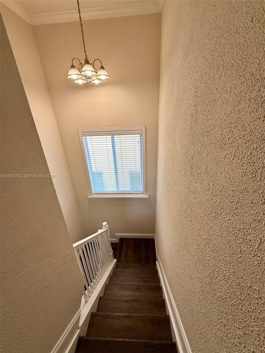 2601 NE 41st Circle, Homestead, FL 33033 photo 20