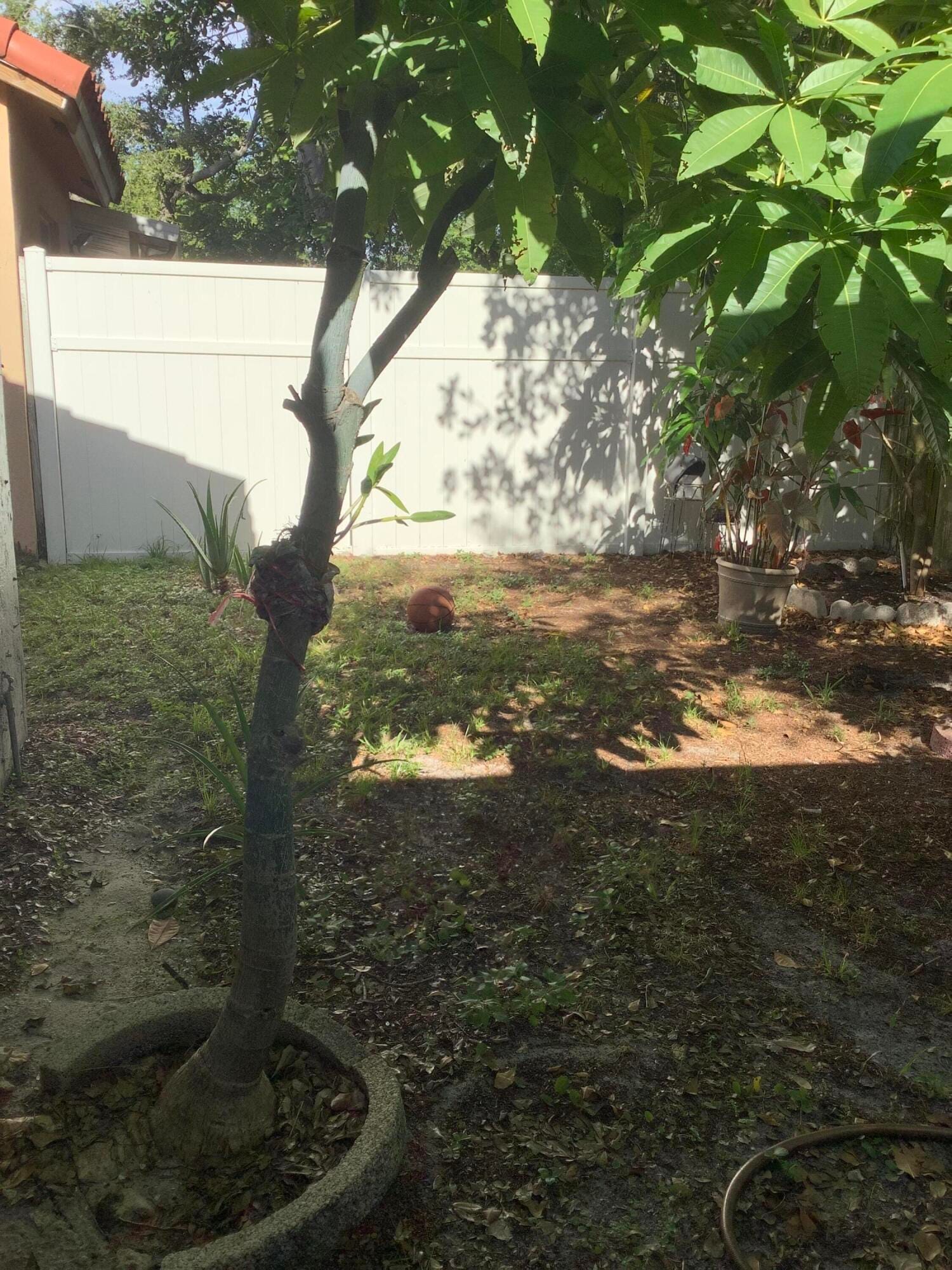 201 SW 98th Terrace, Pembroke Pines, FL 33025 photo 16