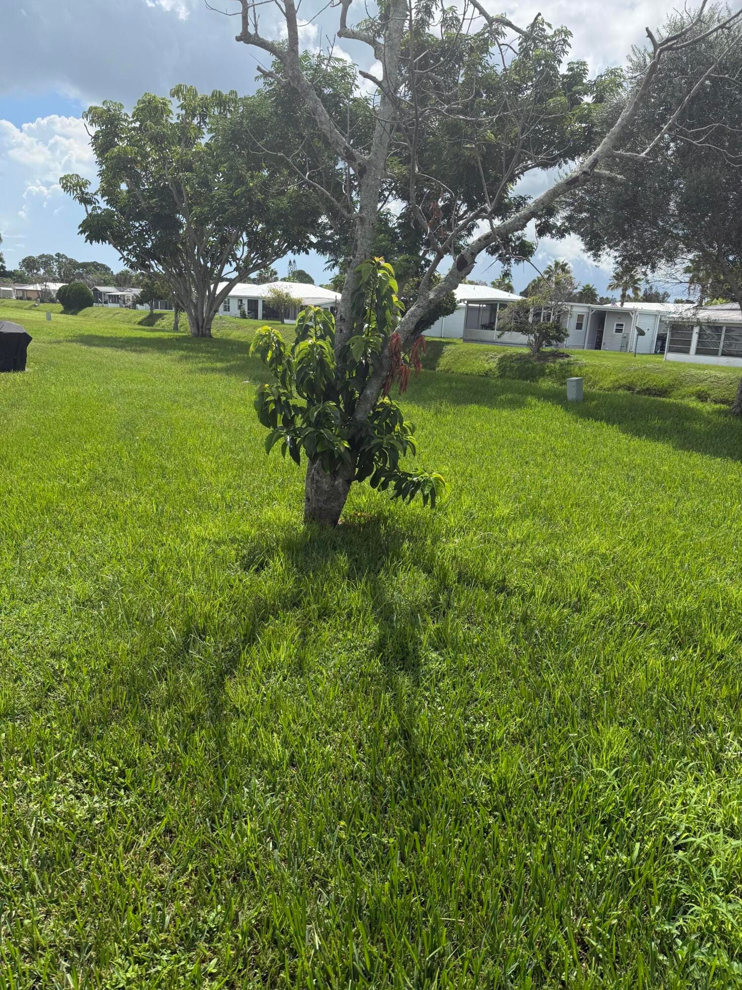 59 EL CAMINO REAL, Port St. Lucie, FL 34952 photo 19