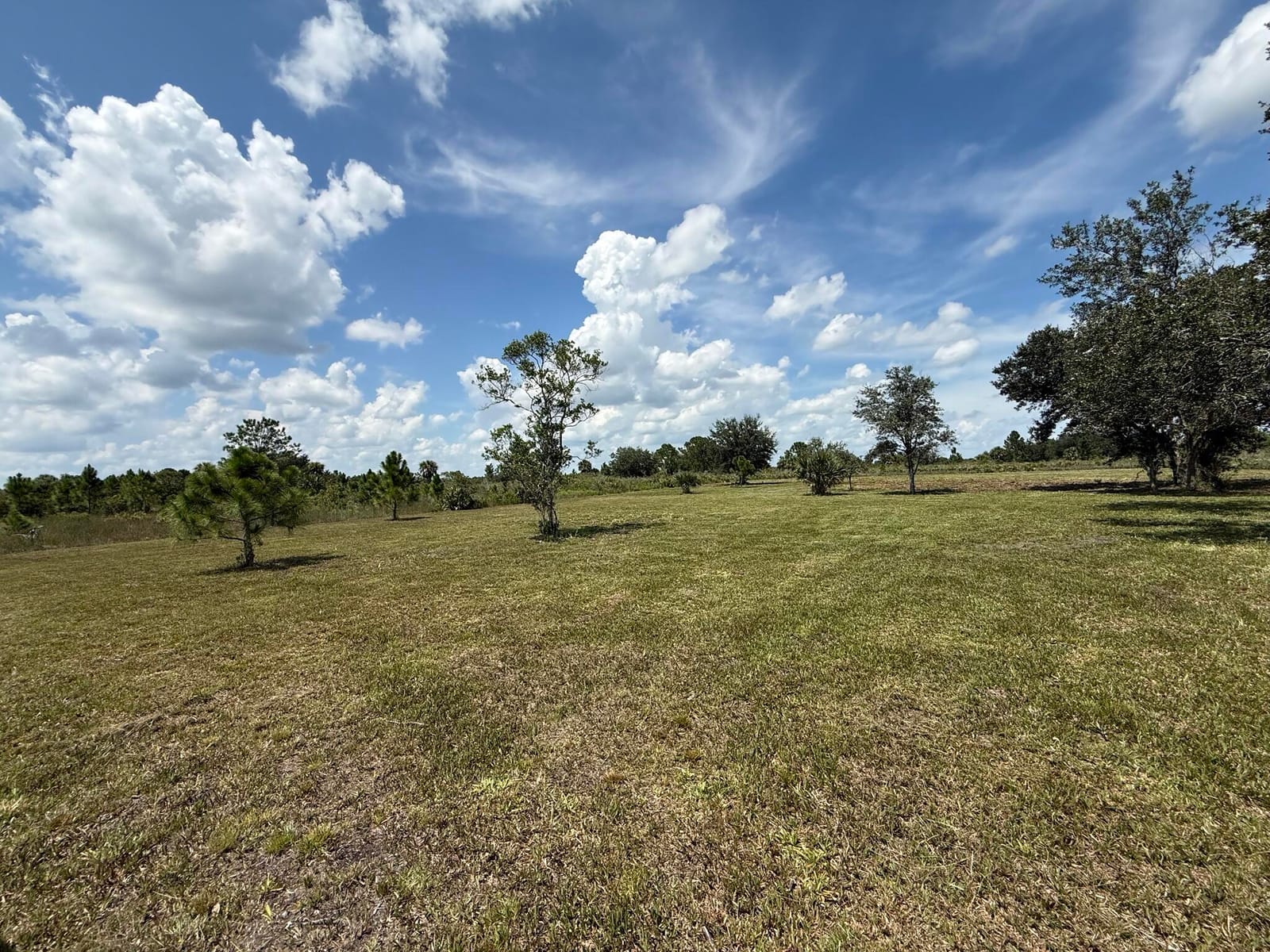 17019 NW 296TH Street, Okeechobee, FL 34972