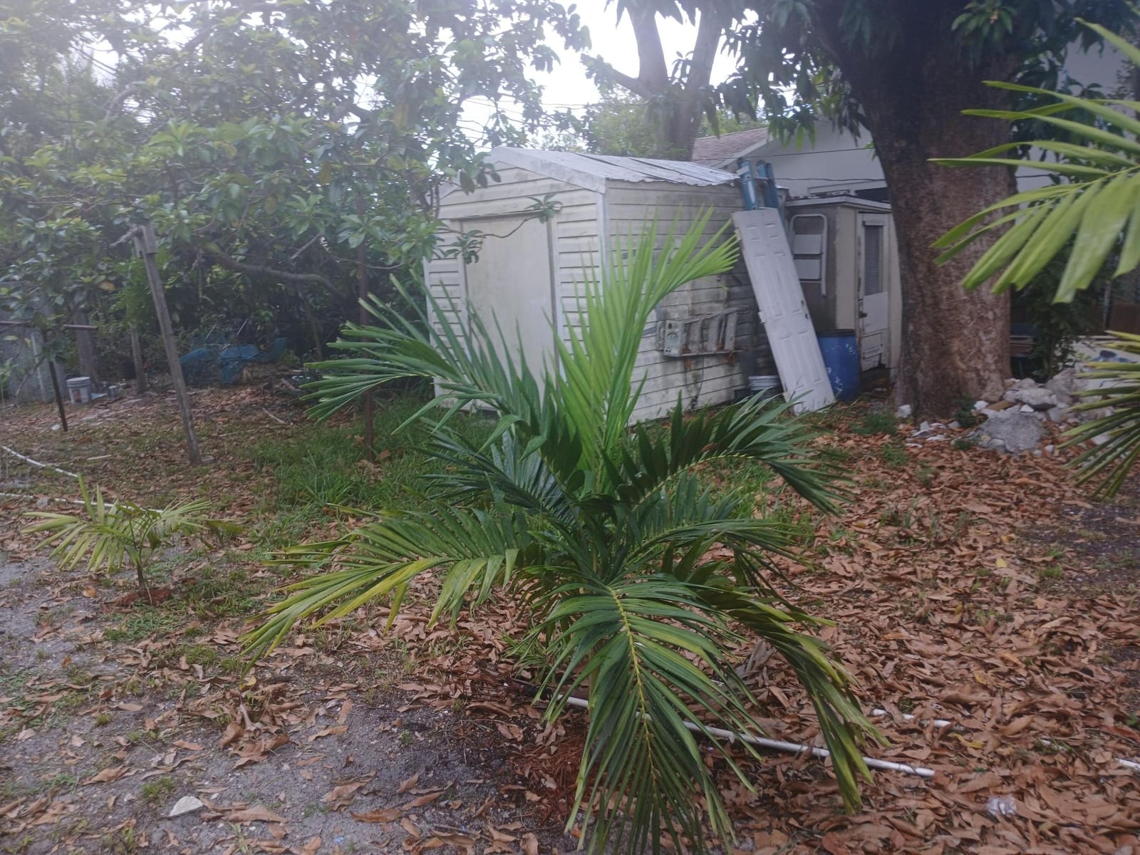330 SW 14TH Street — photo 11