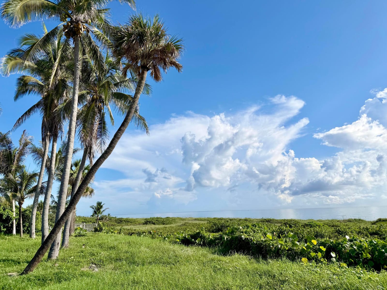 511 S Beach Road, Jupiter, FL 33455