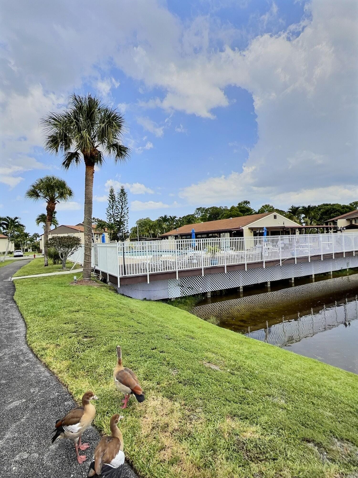 3531 PINE TREE Court B-1, Greenacres, FL 33463 photo 14