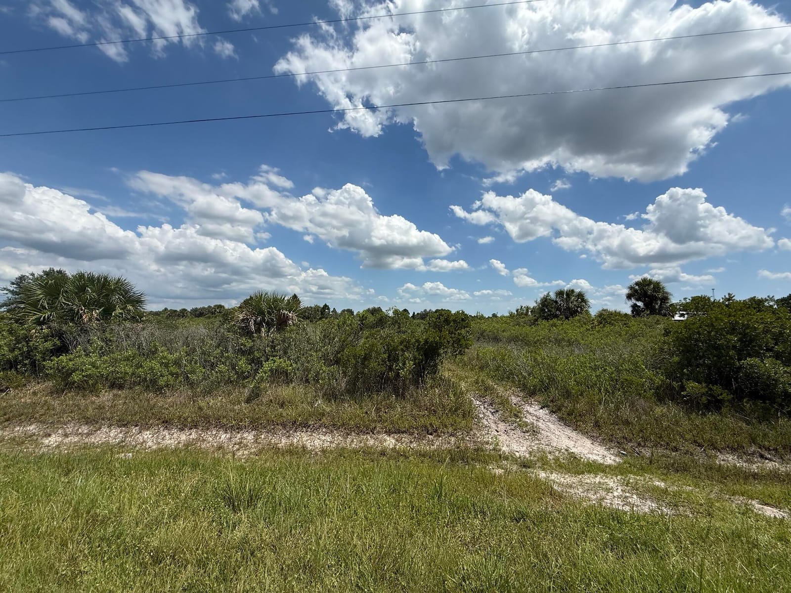 16162 NW 290TH Street, Okeechobee, FL 34972 photo 11