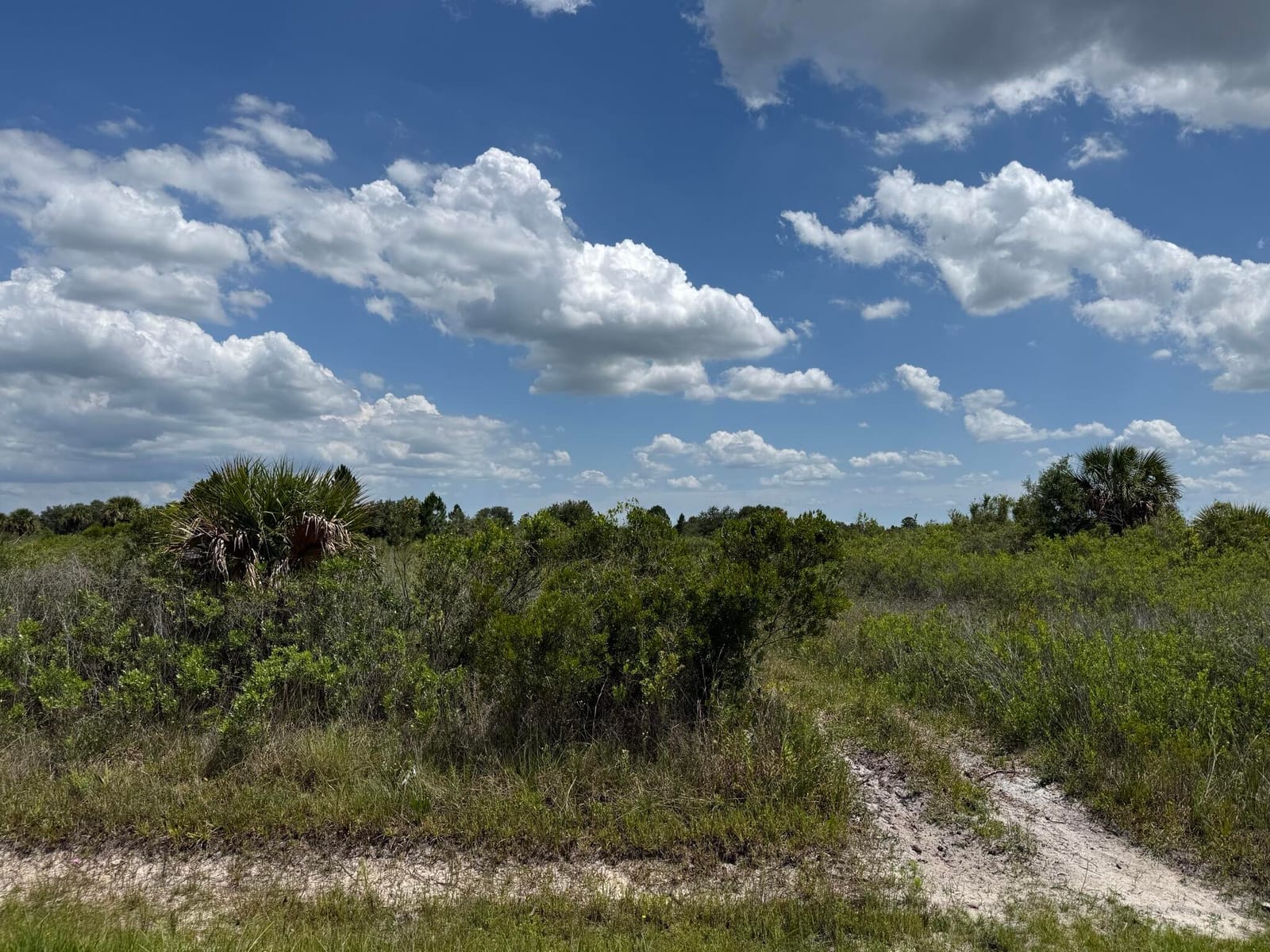 16162 NW 290TH Street, Okeechobee, FL 34972 photo 12