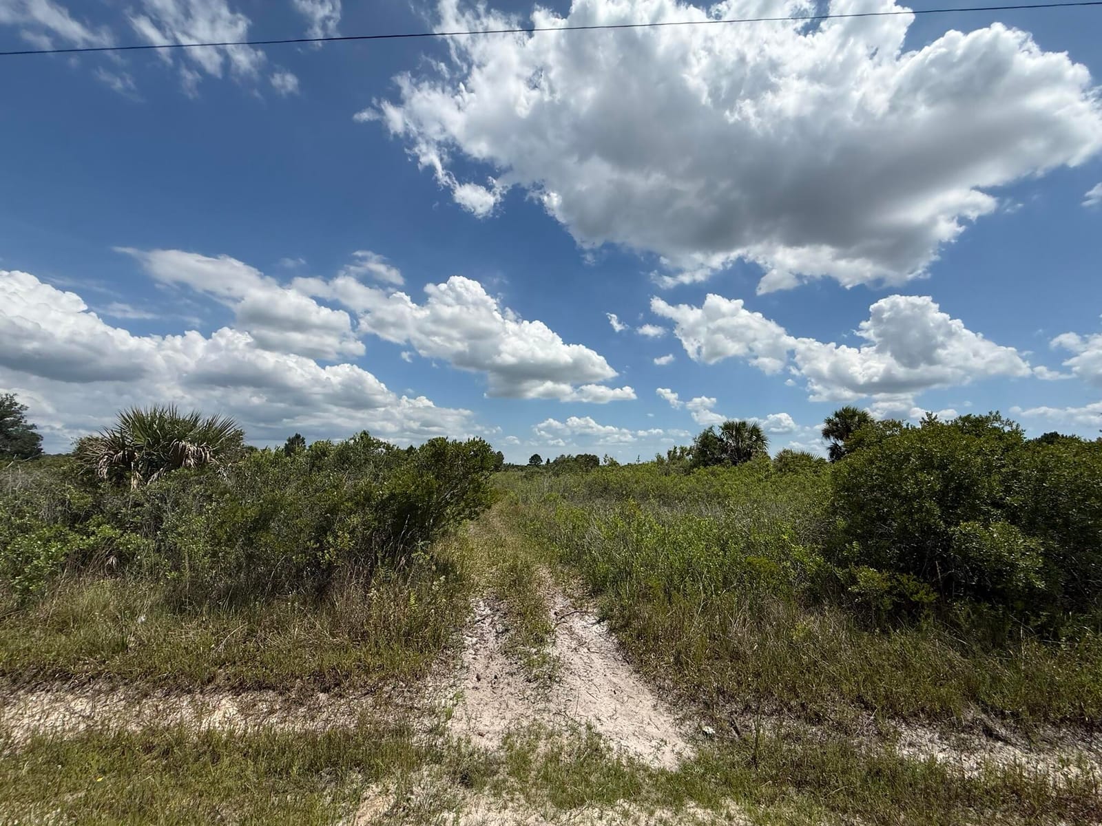 16162 NW 290TH Street, Okeechobee, FL 34972 photo 3