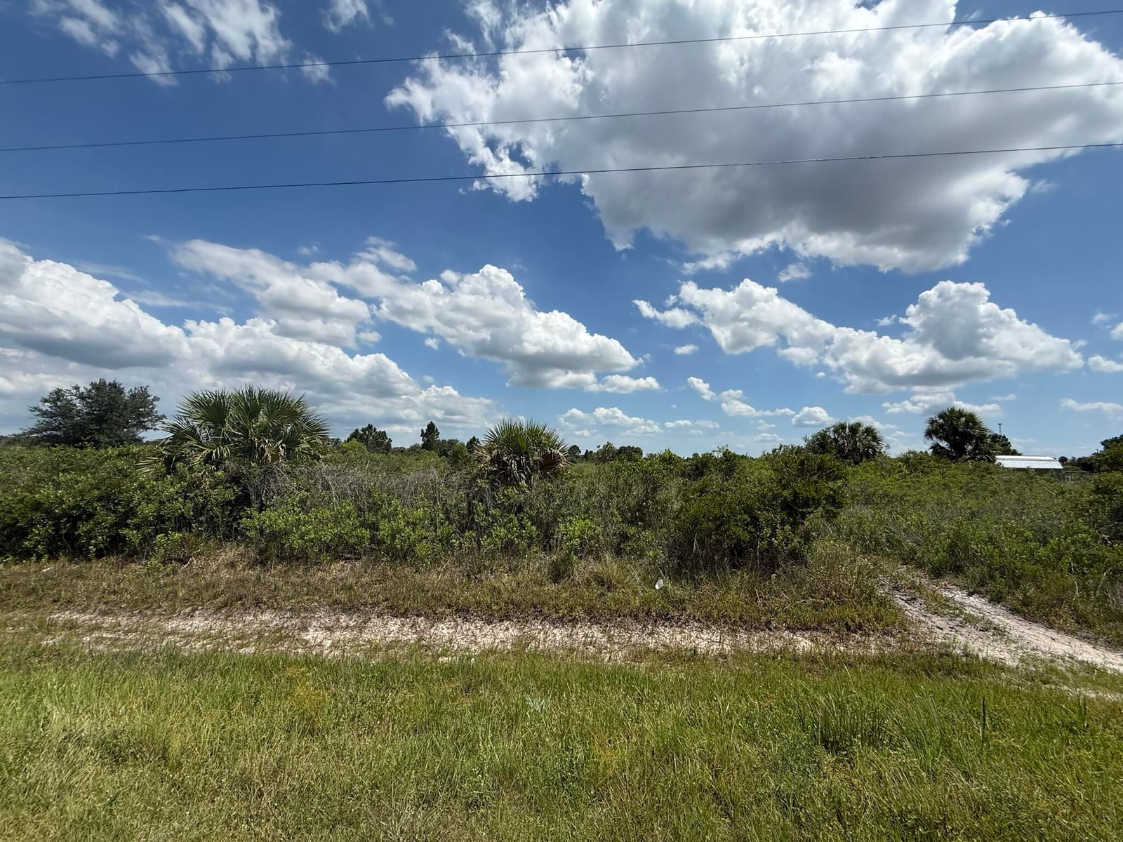 16162 NW 290TH Street, Okeechobee, FL 34972 photo 4