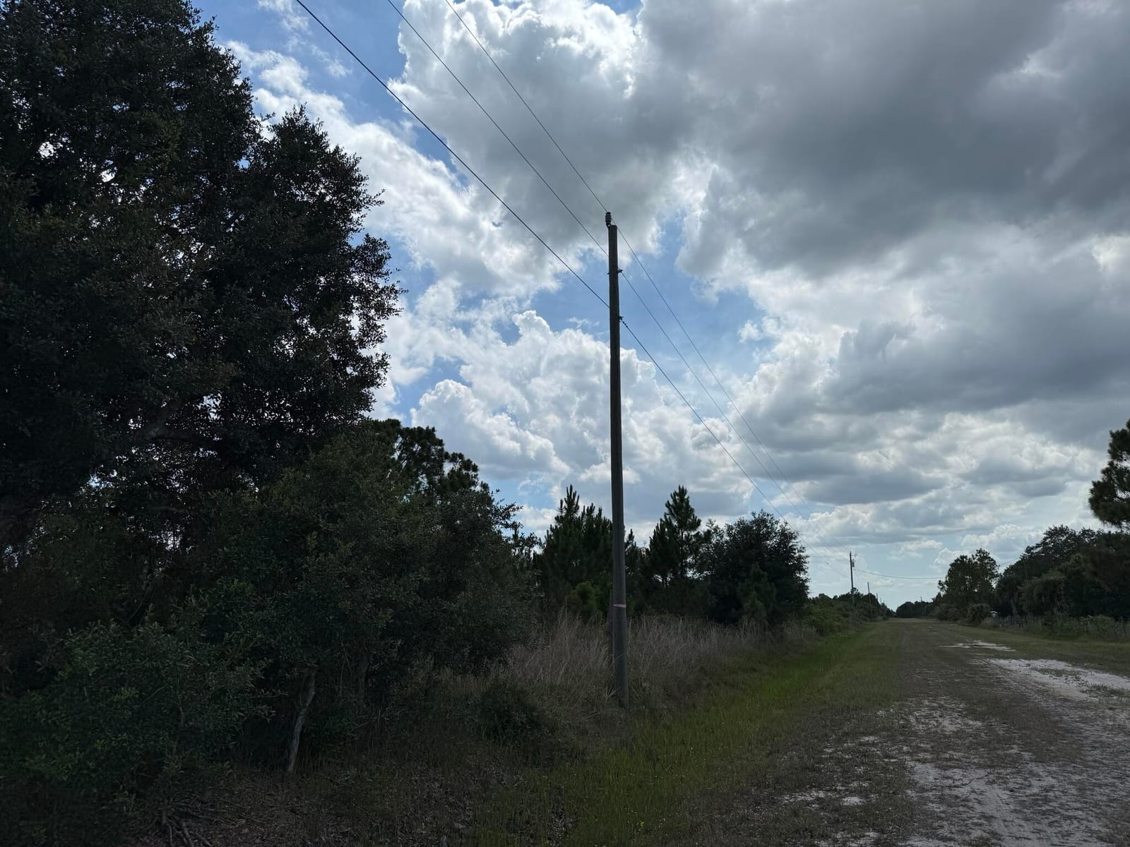 16162 NW 290TH Street, Okeechobee, FL 34972 photo 6