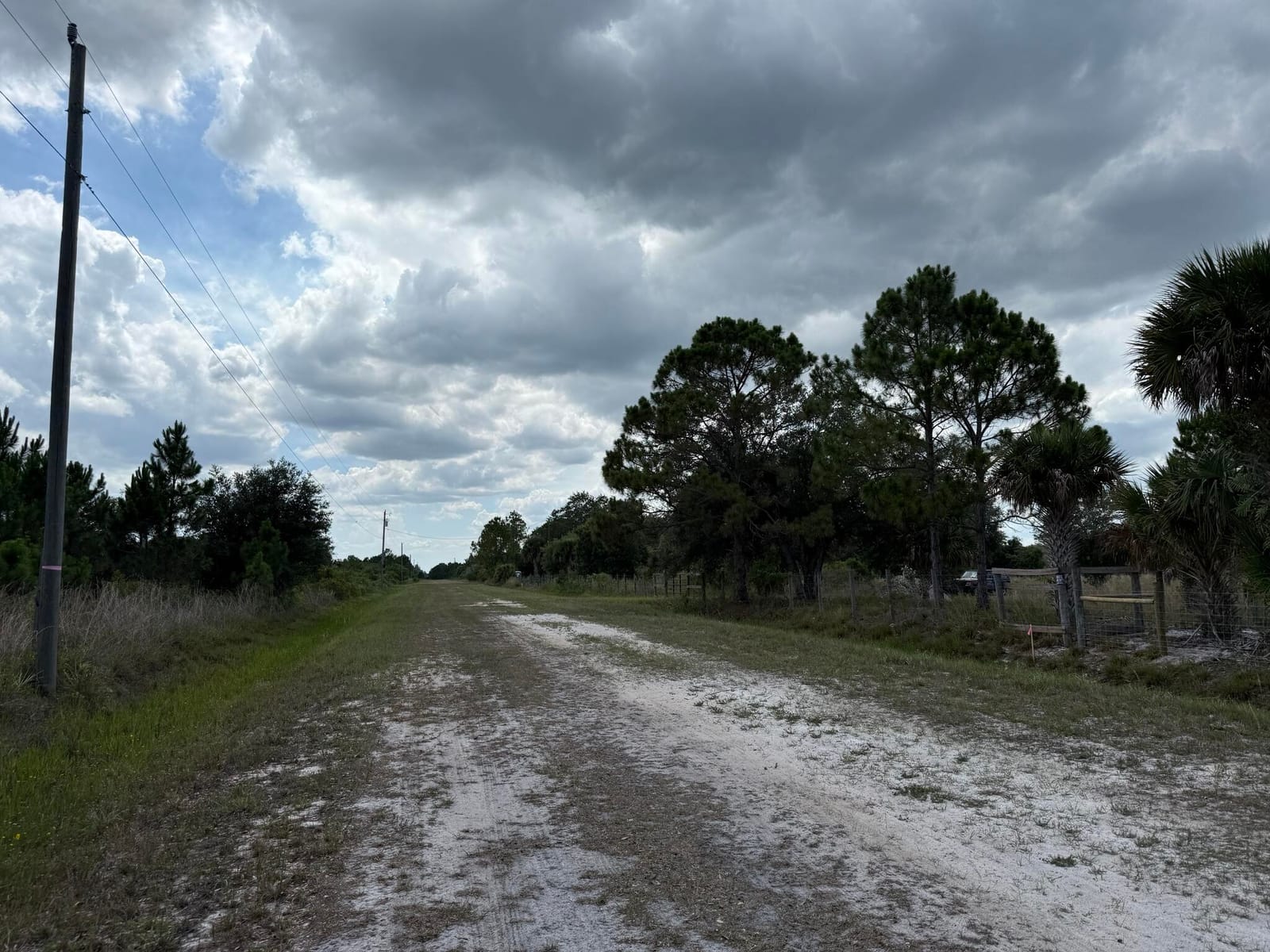 16162 NW 290TH Street, Okeechobee, FL 34972 photo 8