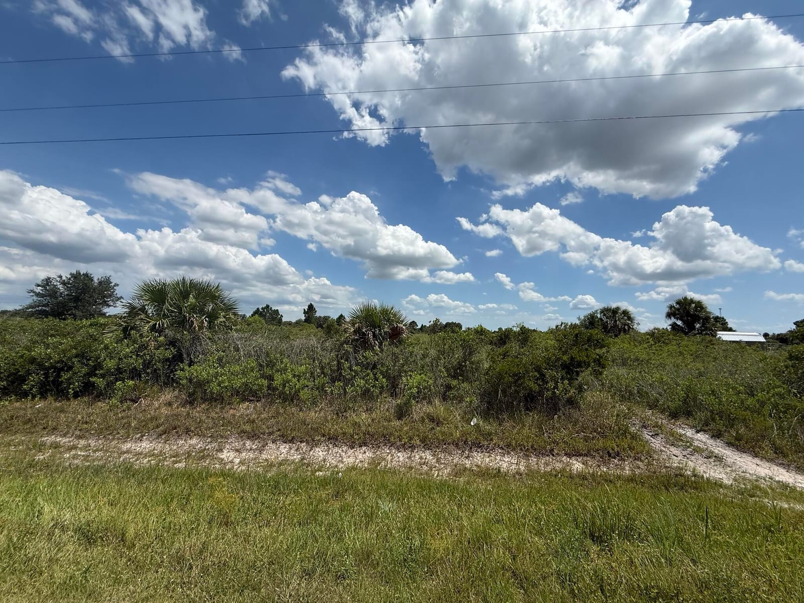 16162 NW 290TH Street, Okeechobee, FL 34972 photo 9