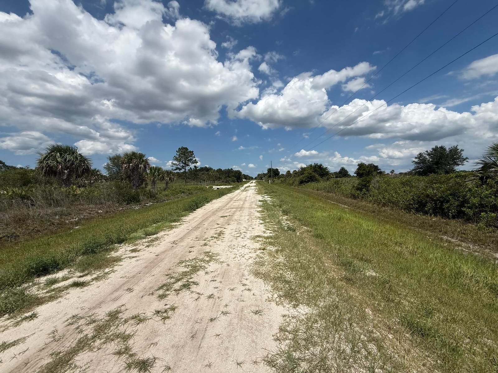 16162 NW 290TH Street, Okeechobee, FL 34972 photo 10