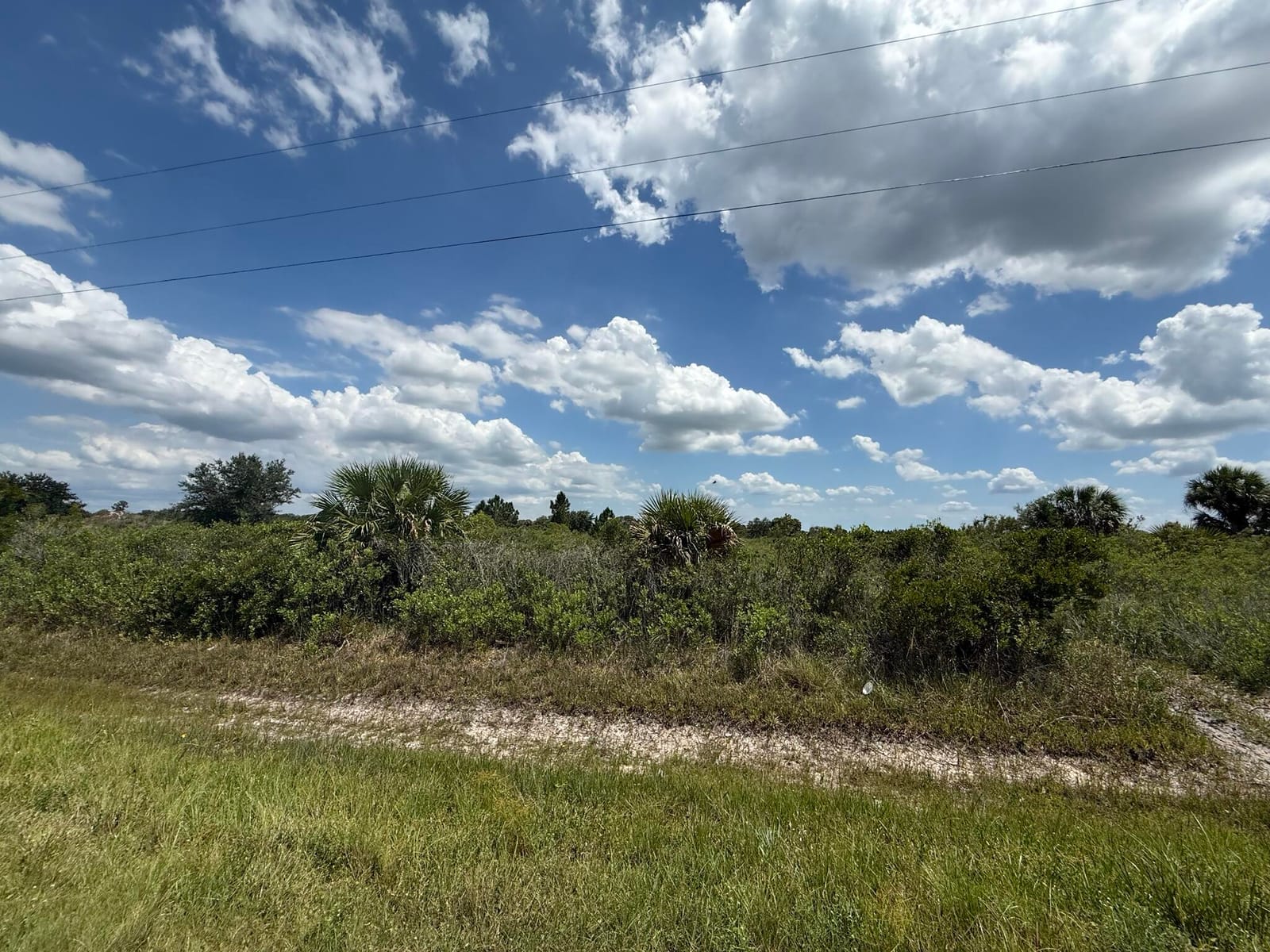 16162 NW 290TH Street, Okeechobee, FL 34972
