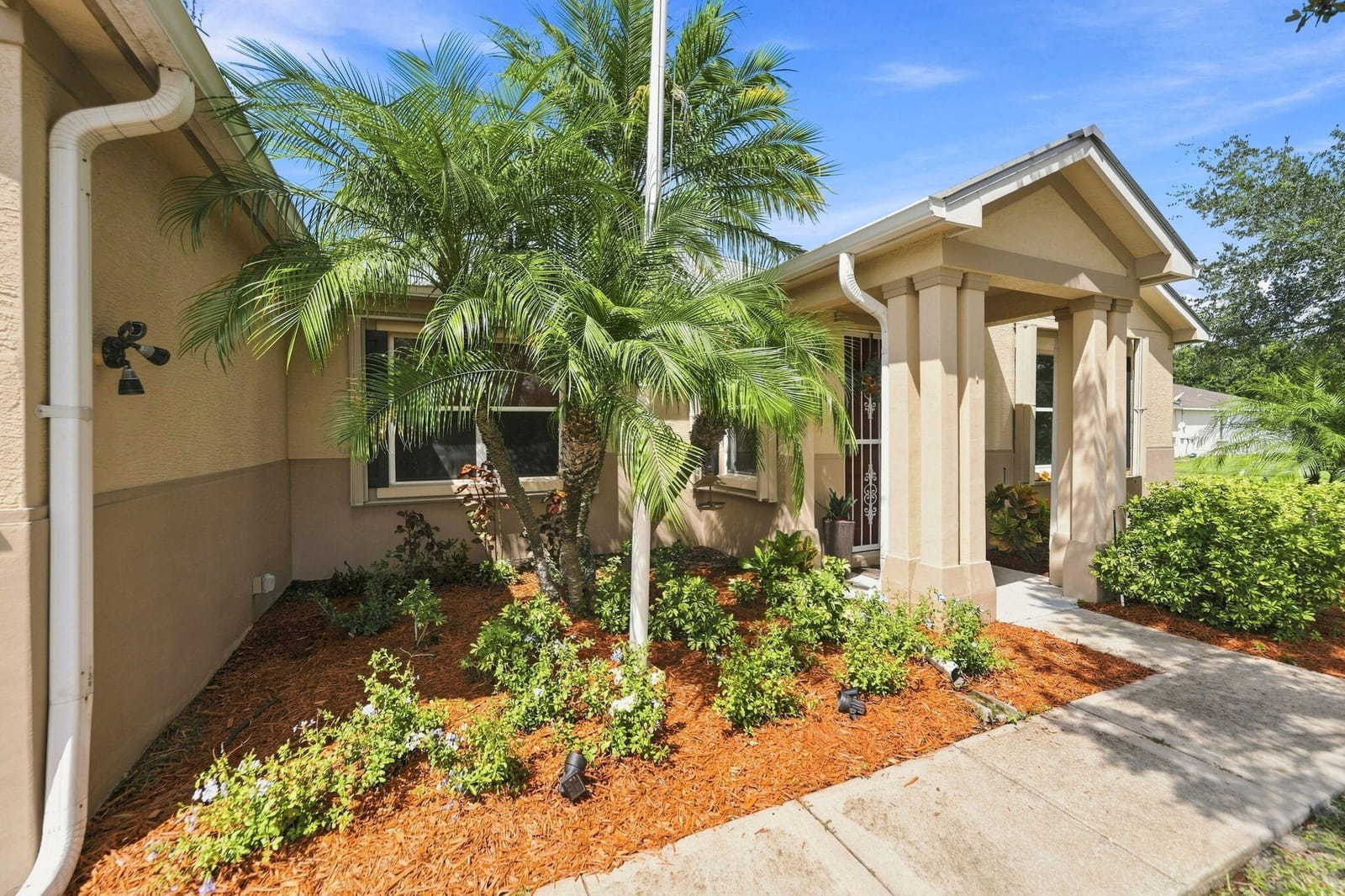 100 Salazar Lane — photo 9