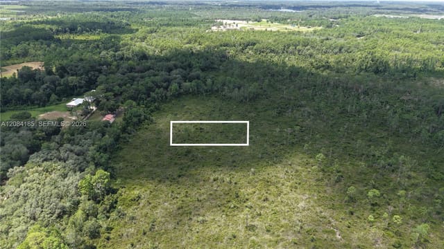 0 Crocus Lane, FL 32640