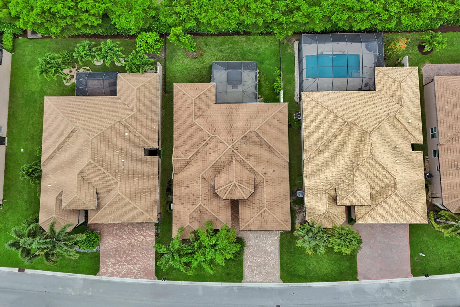 8202 Alpine Ridge Road — photo 3