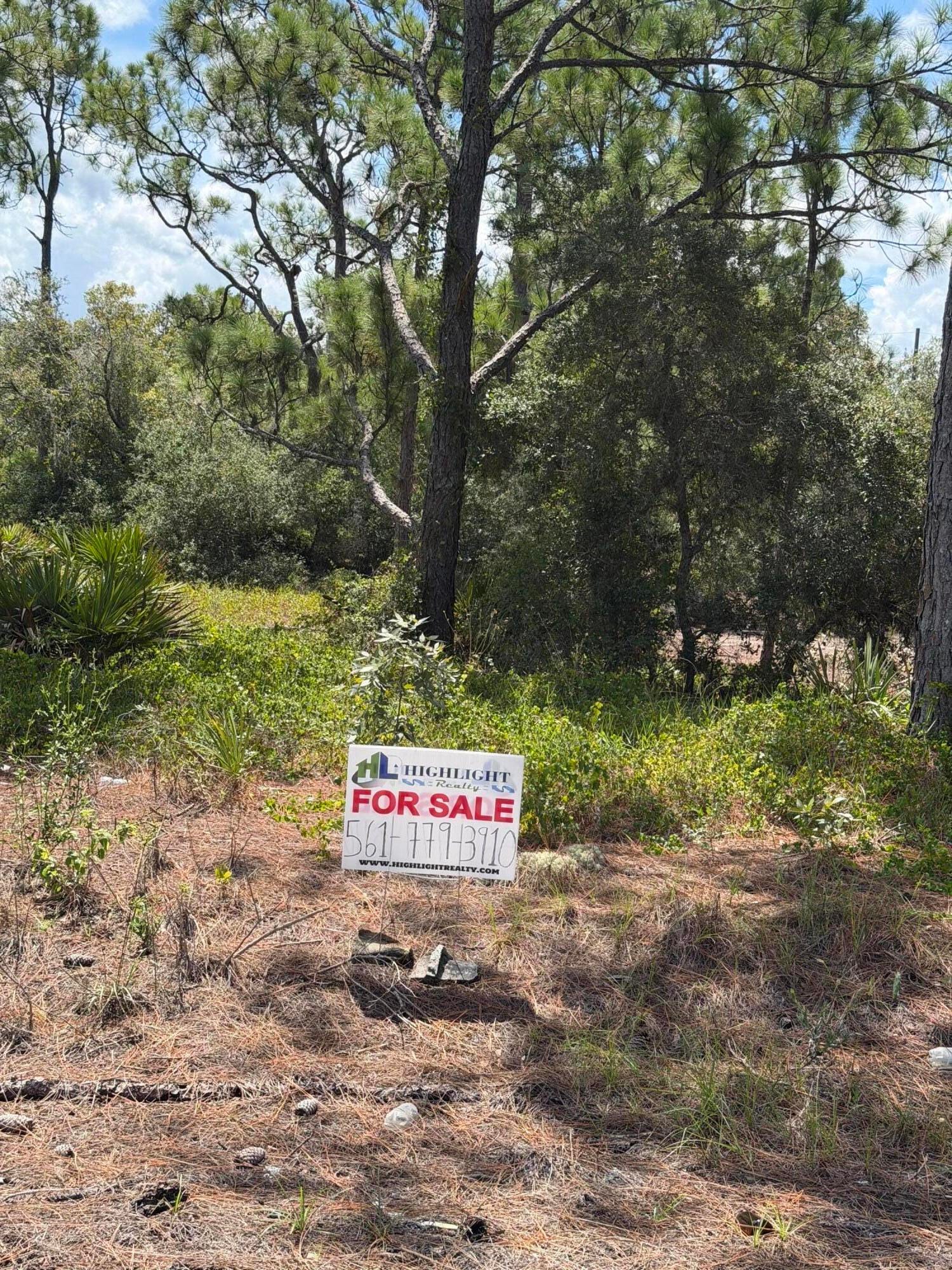 391 MARIONETTE Avenue, Lake Placid, FL 33852 photo 2