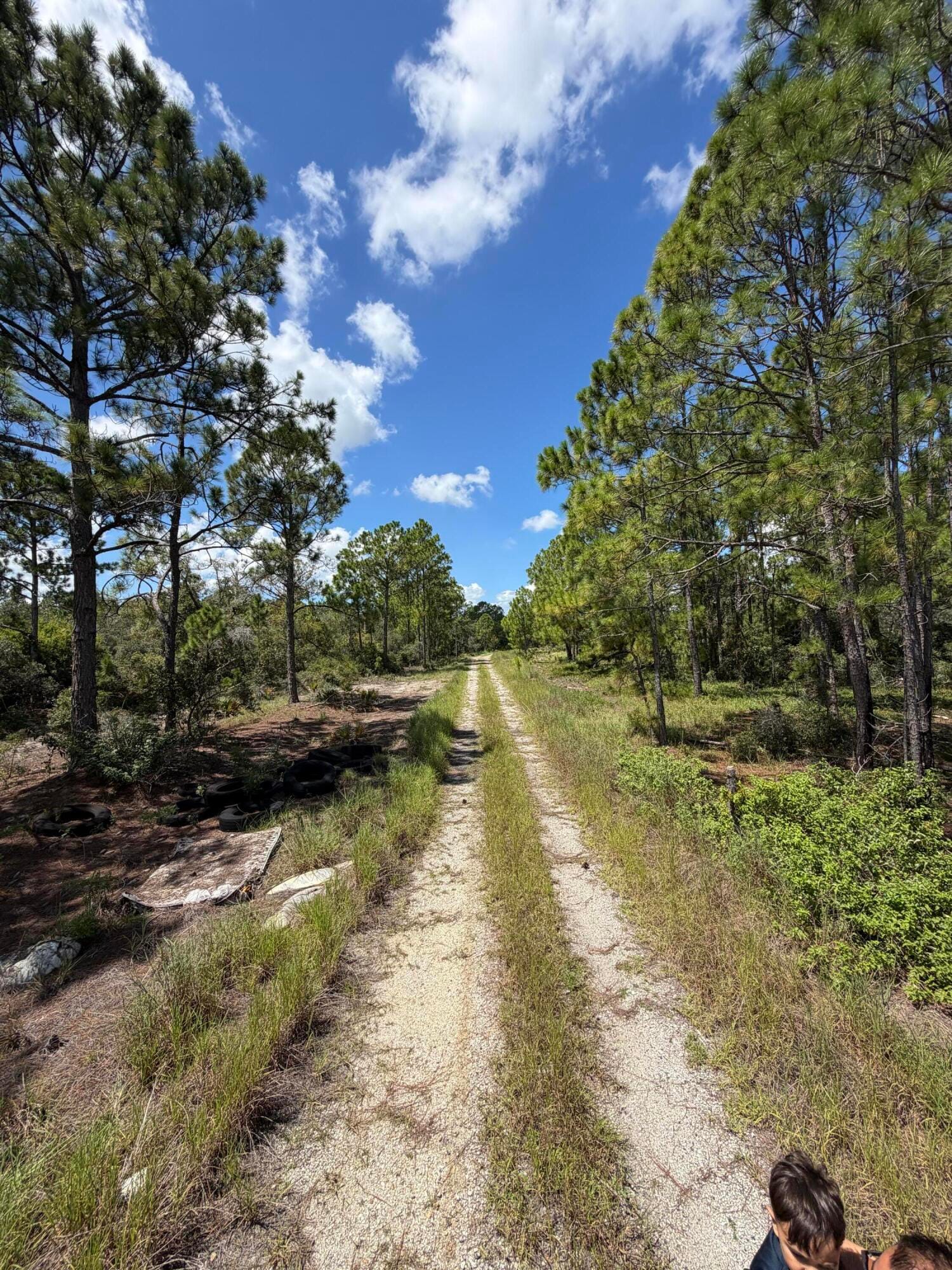 391 MARIONETTE Avenue, Lake Placid, FL 33852 photo 5