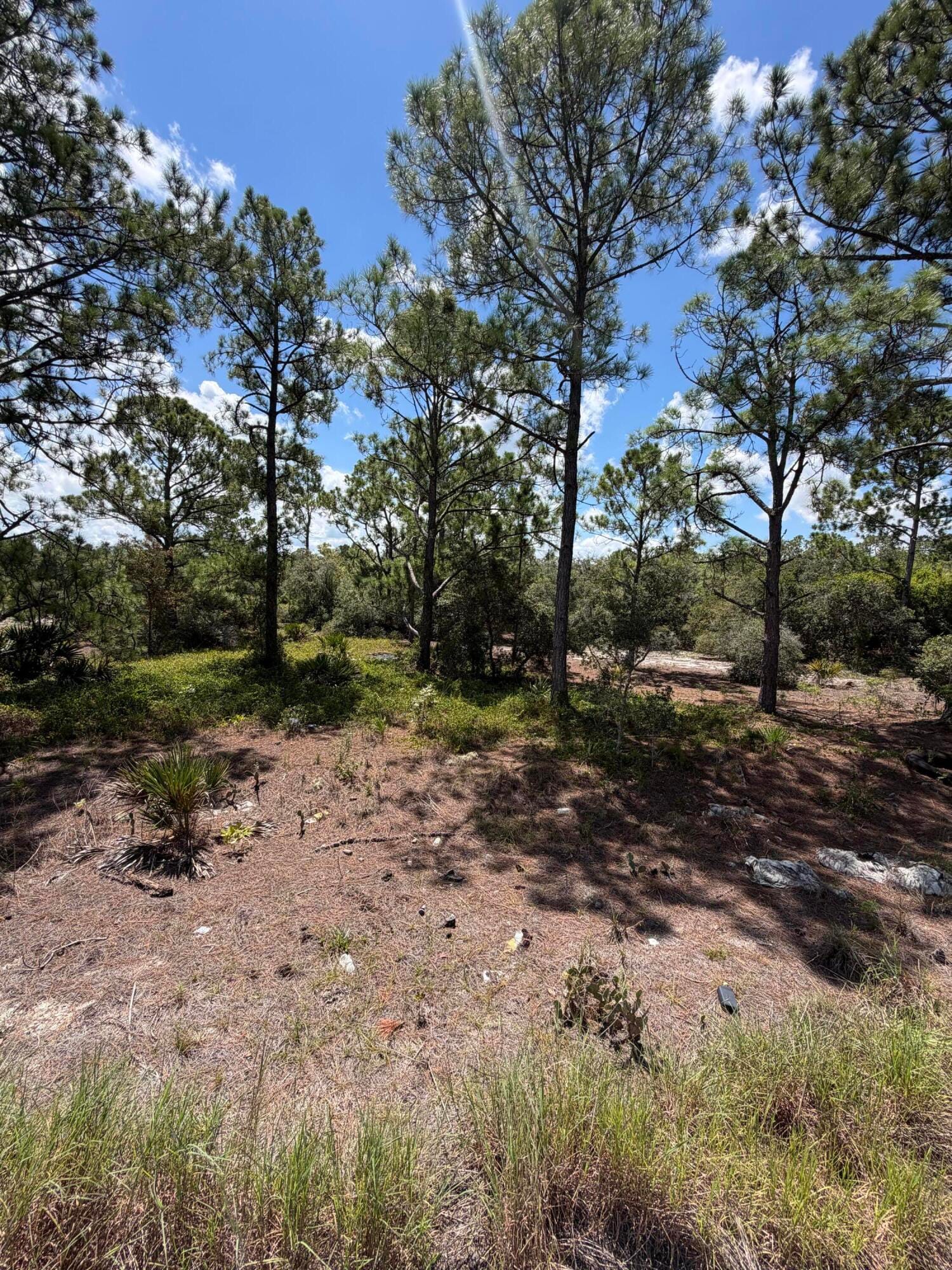 391 MARIONETTE Avenue, Lake Placid, FL 33852 photo 7
