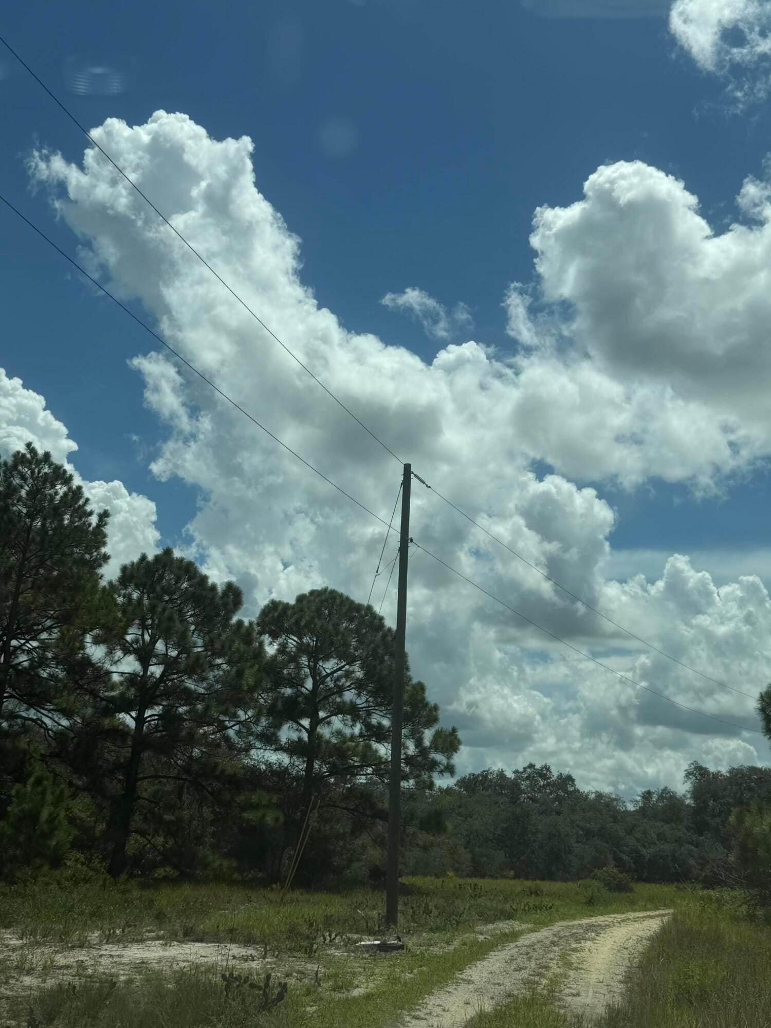 391 MARIONETTE Avenue, Lake Placid, FL 33852 photo 8