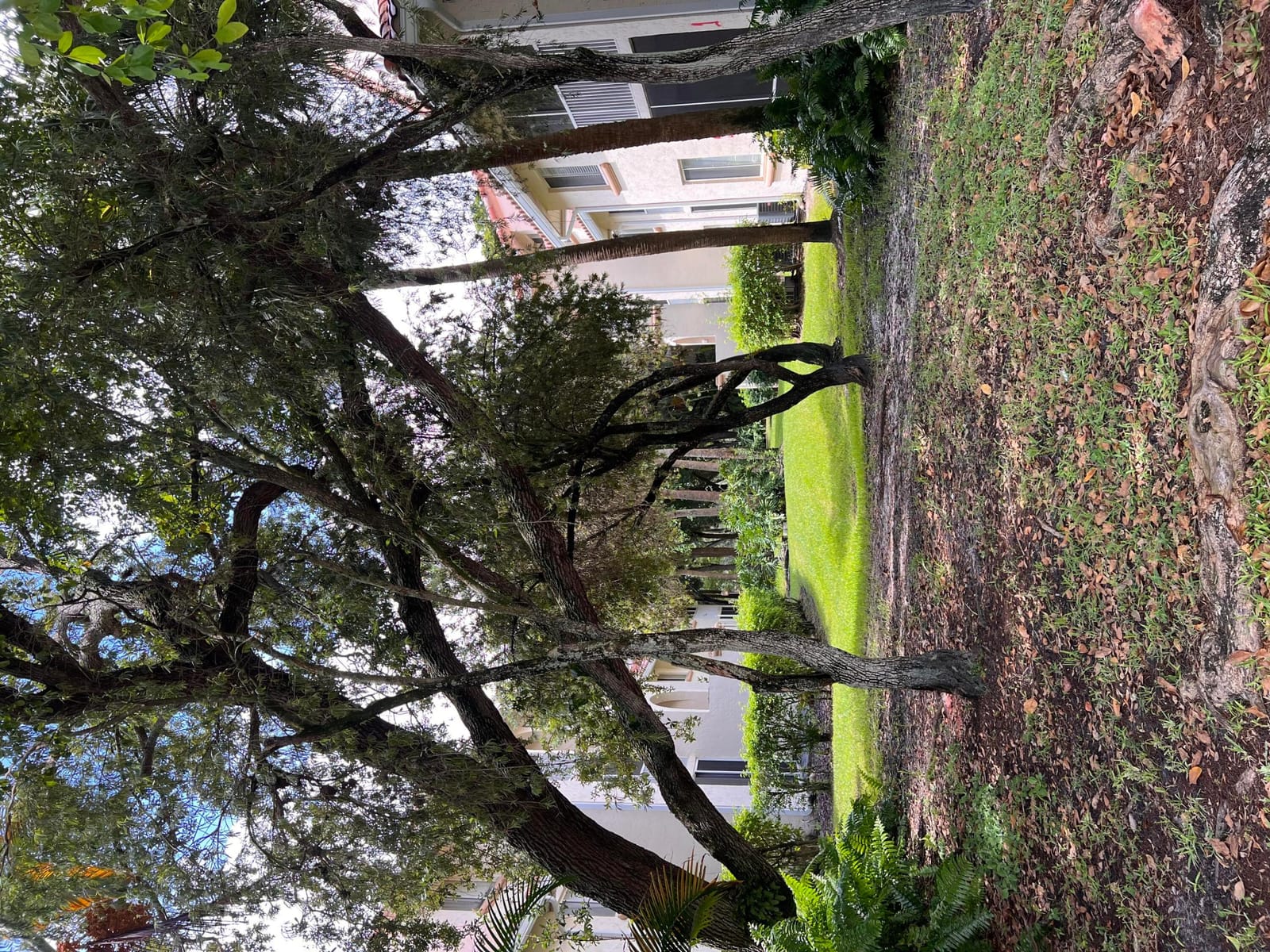 1103 Glenmoor Drive, West Palm Beach, FL 33409 photo 23