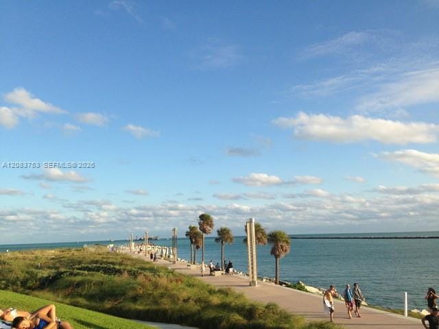 65 Washington Avenue 26, Miami Beach, FL 33139 photo 17
