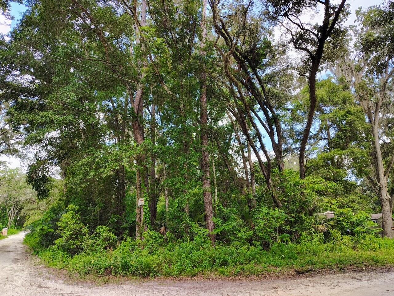0000 NW 66th Street, FL 34475 photo 6