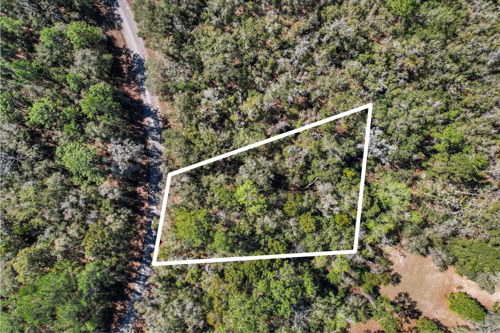987 E ODIN Drive, Dunnellon, FL 34434 photo 2