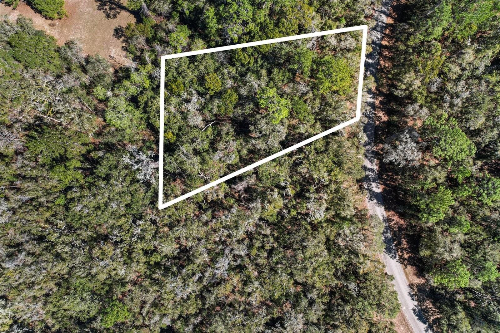 987 E ODIN Drive, Dunnellon, FL 34434 photo 3