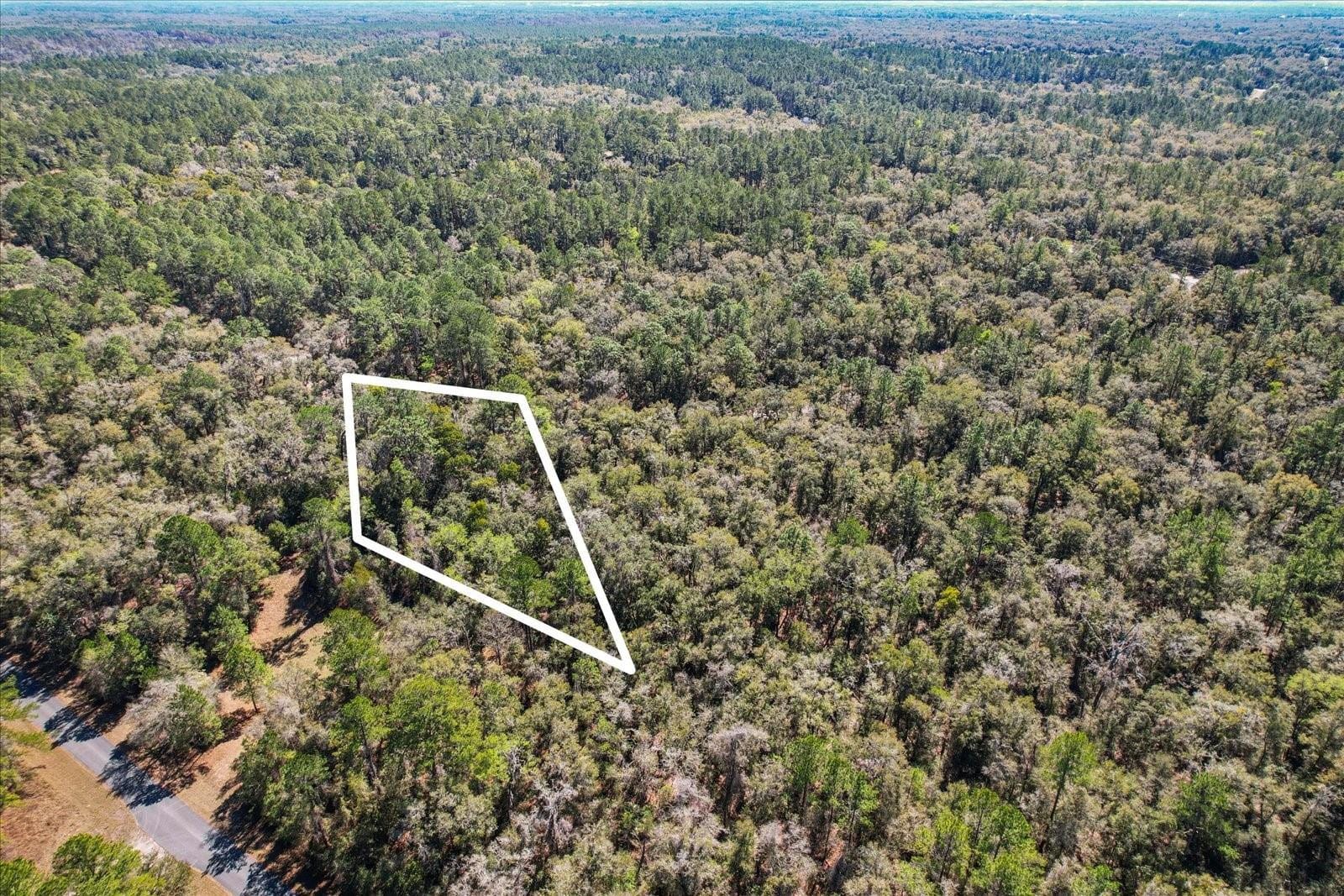 987 E ODIN Drive, Dunnellon, FL 34434 photo 4