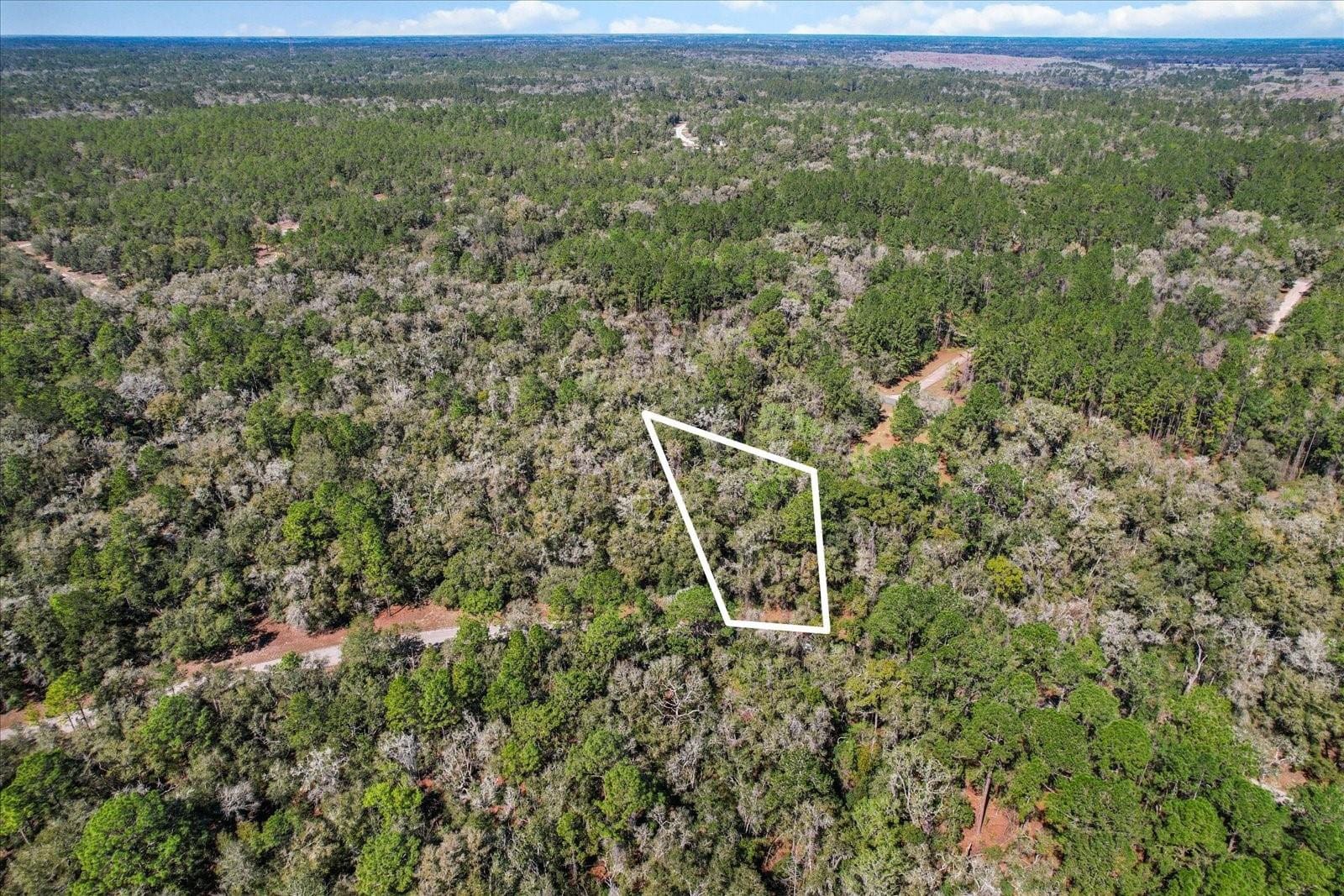987 E ODIN Drive, Dunnellon, FL 34434 photo 5