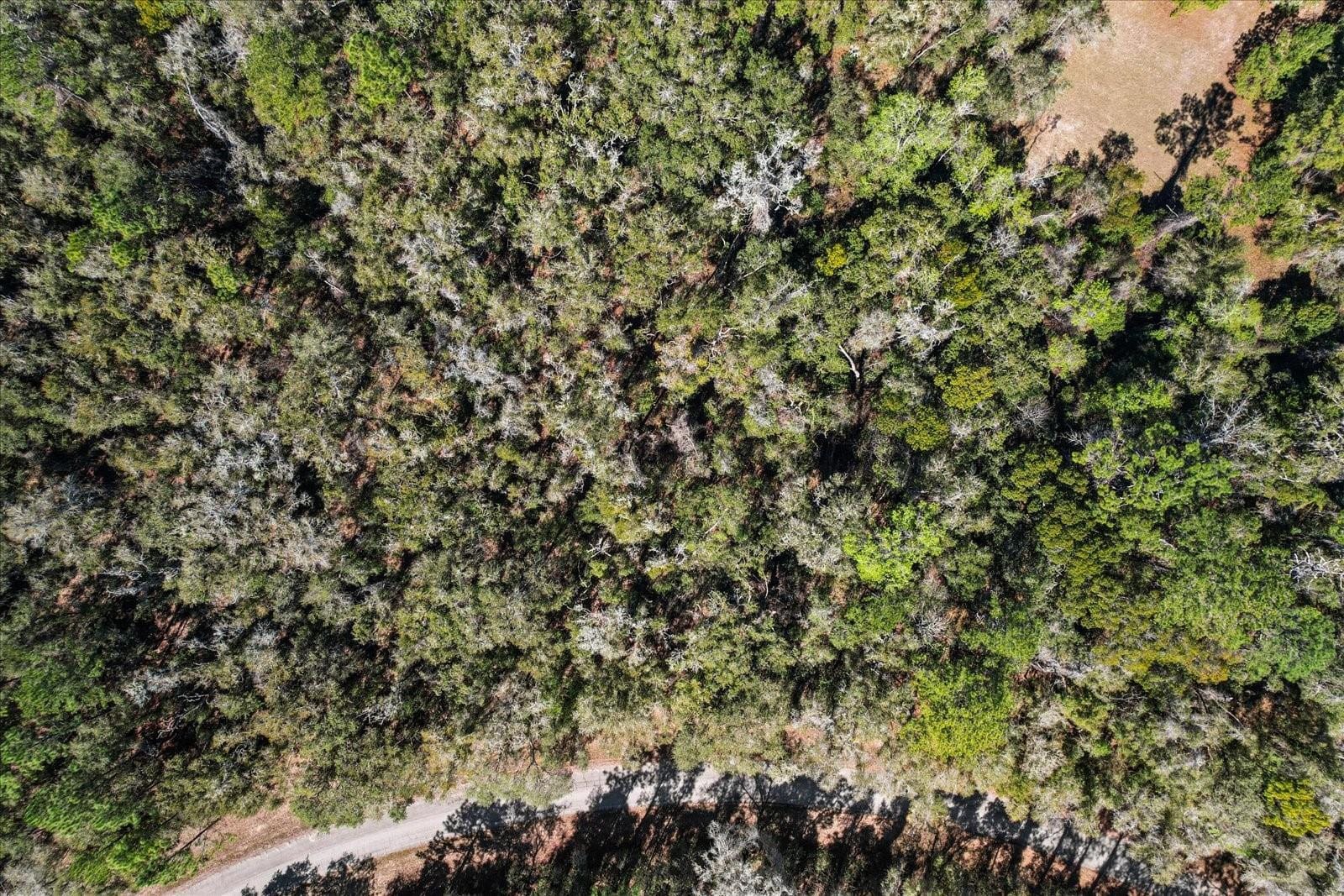 987 E ODIN Drive, Dunnellon, FL 34434 photo 7