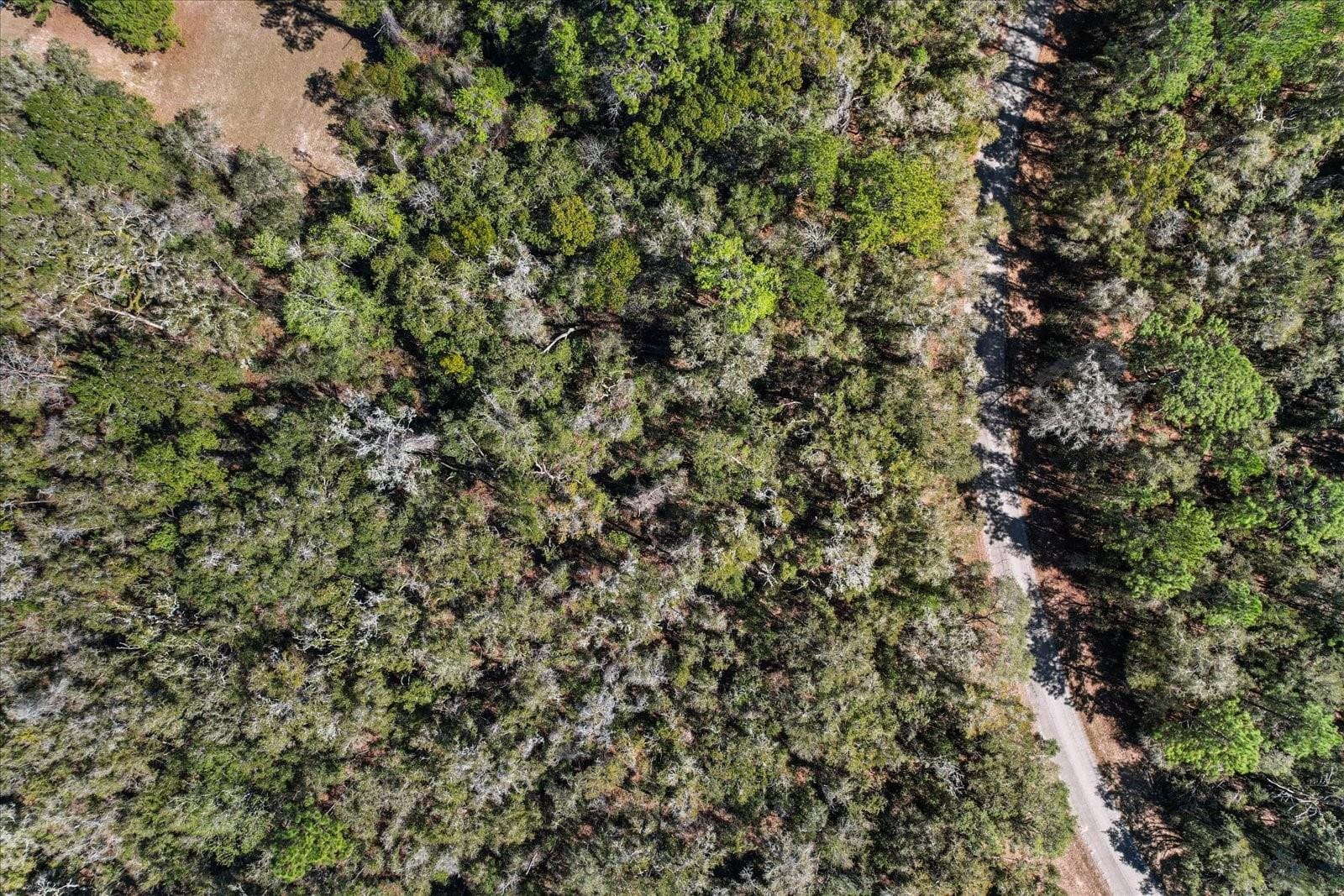 987 E ODIN Drive, Dunnellon, FL 34434 photo 9