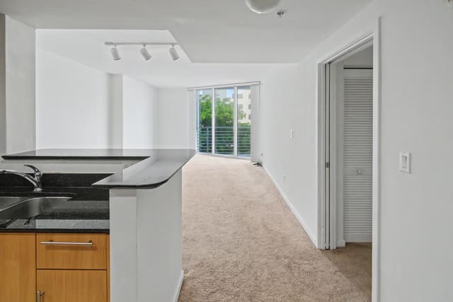 335 S Biscayne Boulevard 1002, Miami, FL 33131