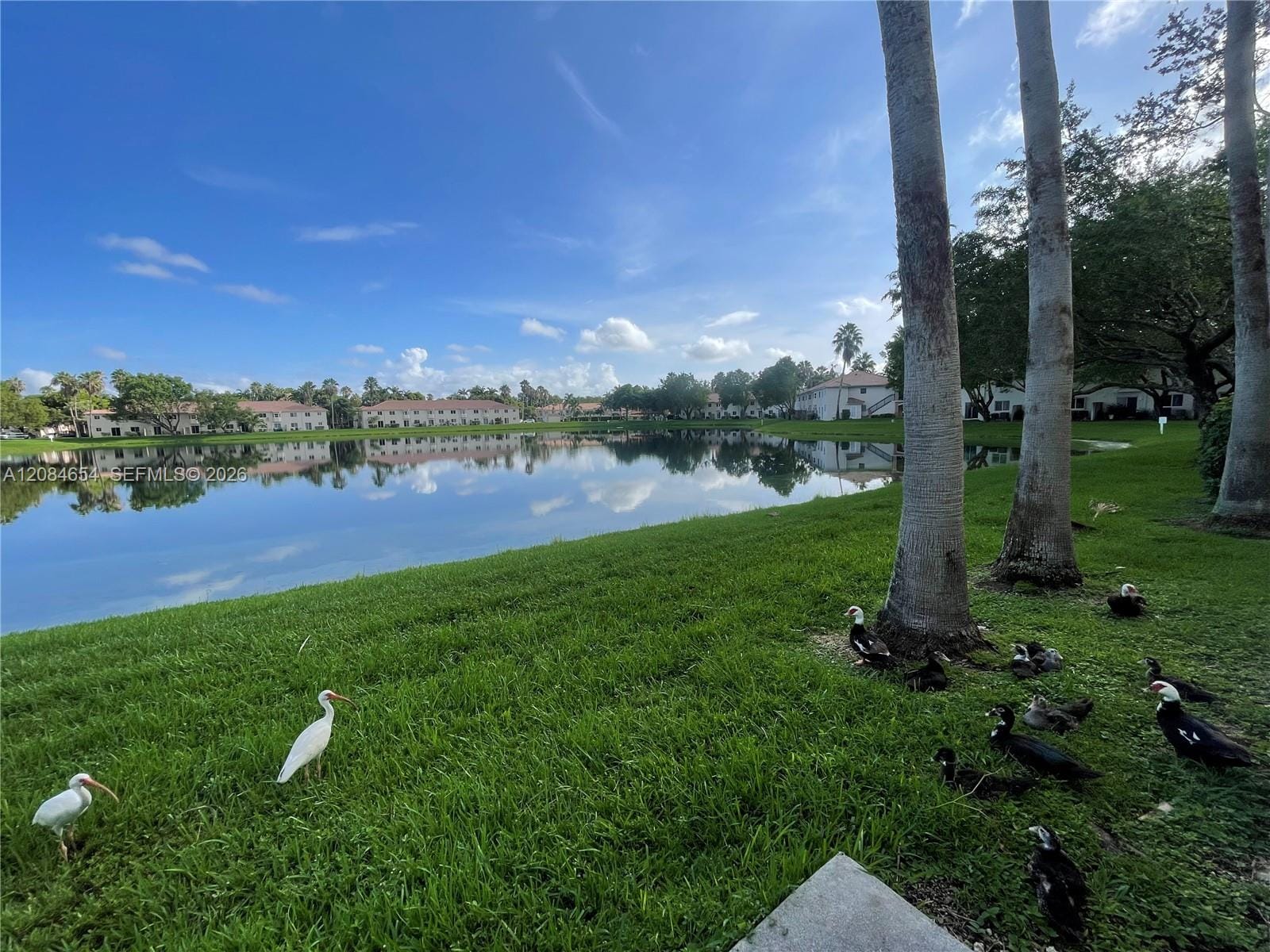 1251 SE 31st Court 106-54, Homestead, FL 33035 photo 13