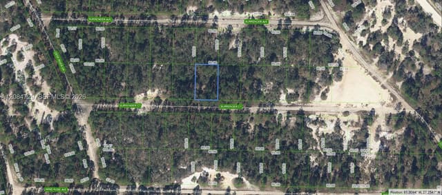 420 Surrender Court, Lake Placid, FL 33852