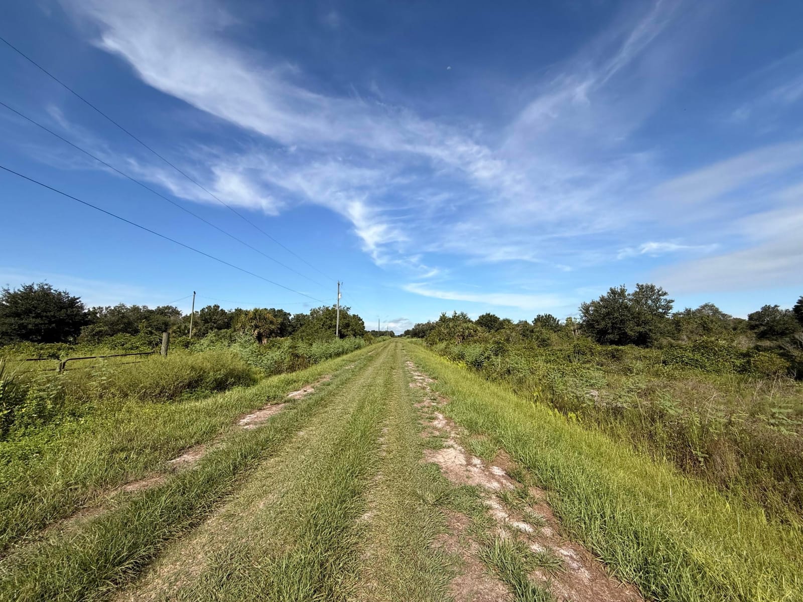 21231 NW 270TH Street, Okeechobee, FL 34972 photo 3