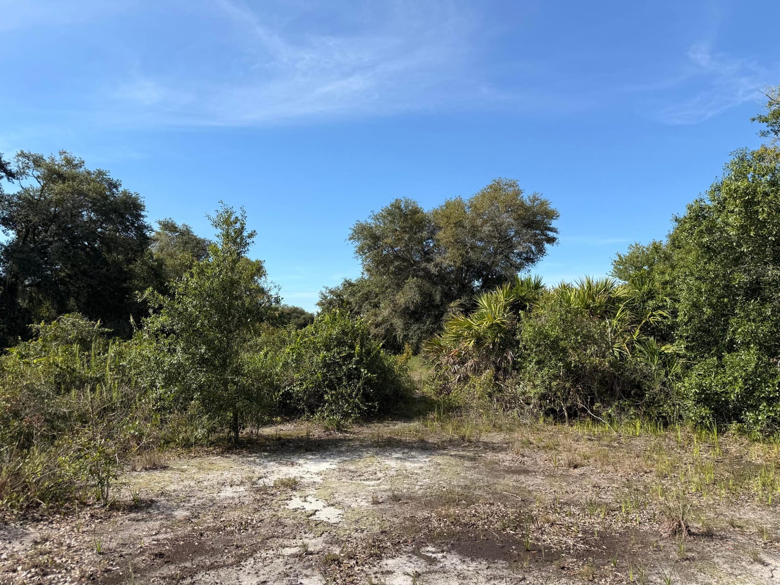 21231 NW 270TH Street, Okeechobee, FL 34972 photo 4