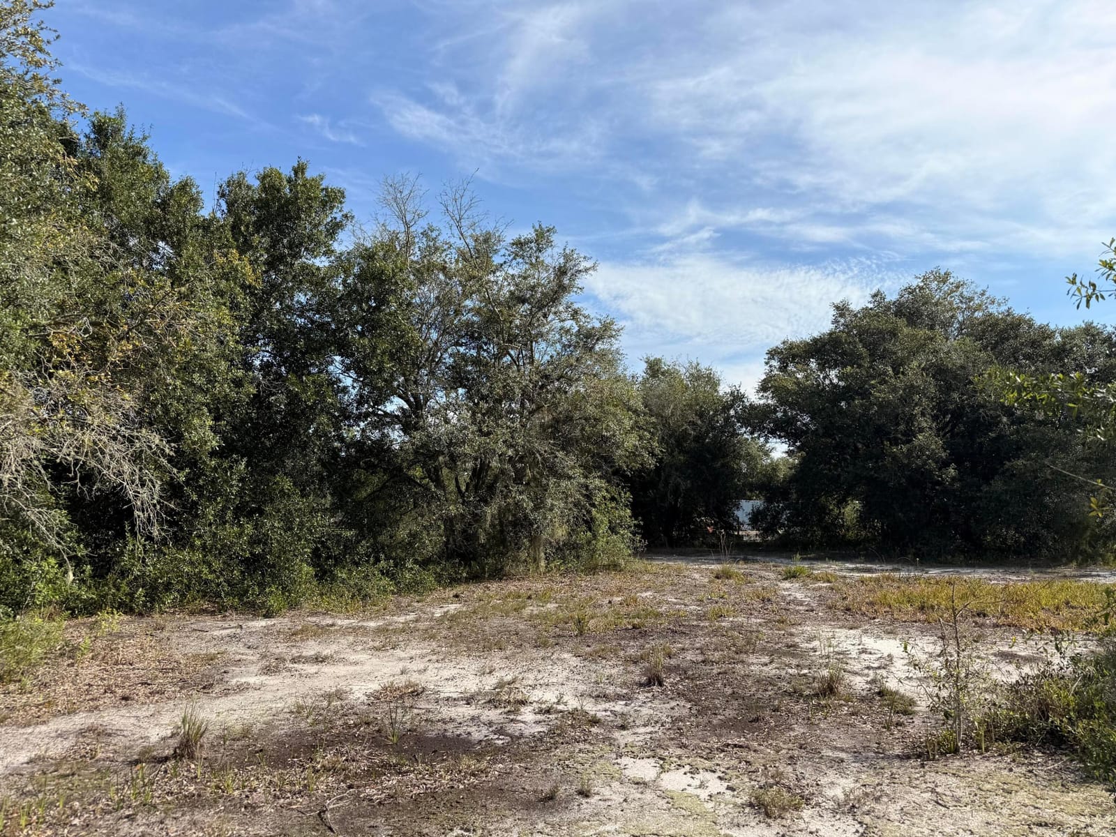 21231 NW 270TH Street, Okeechobee, FL 34972 photo 5