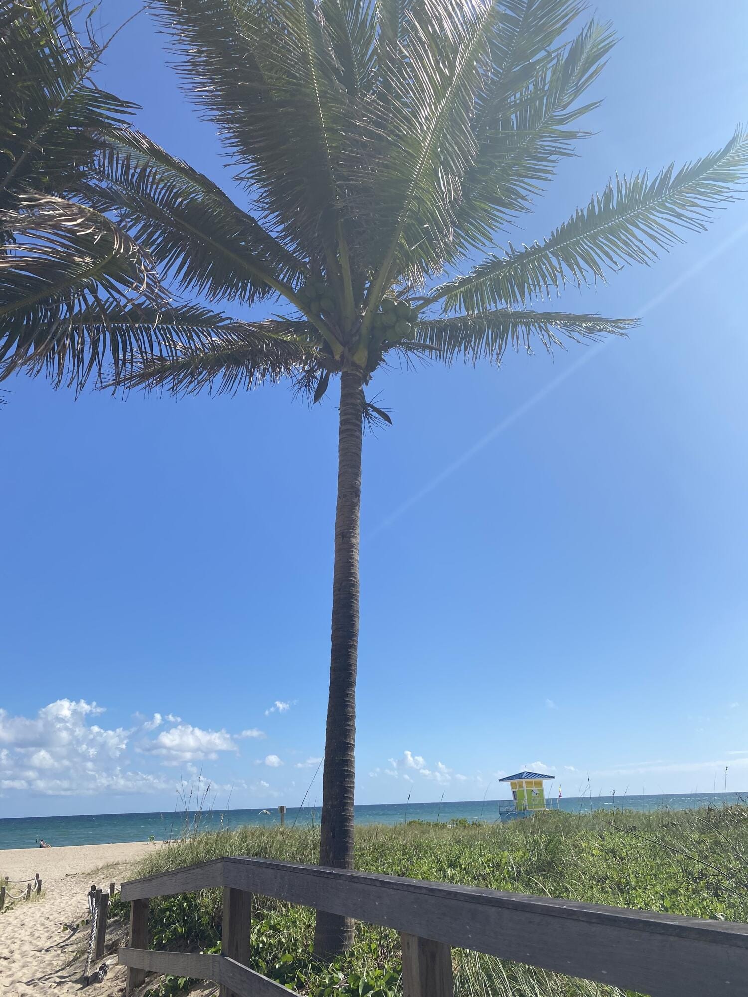 2860 NE 14TH ST Street 404D, Pompano Beach, FL 33062 photo 10