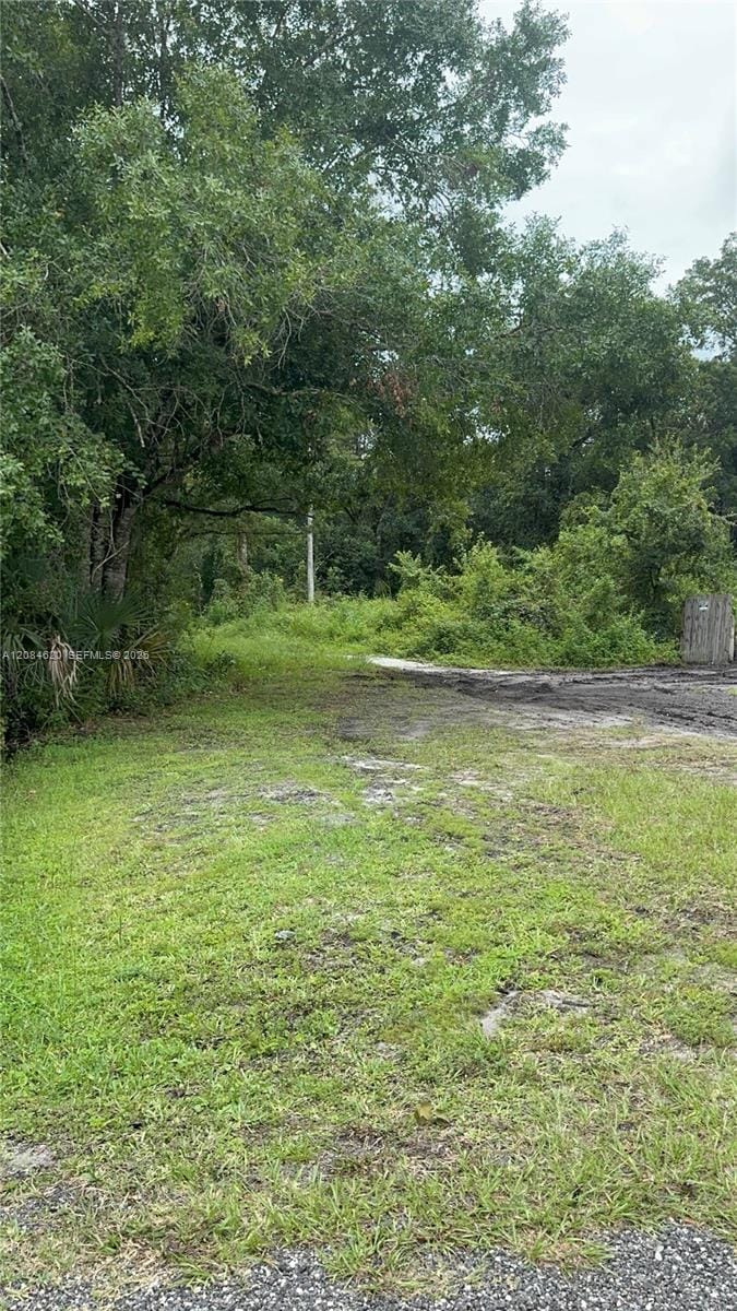 1219 Sable Palm — photo 1