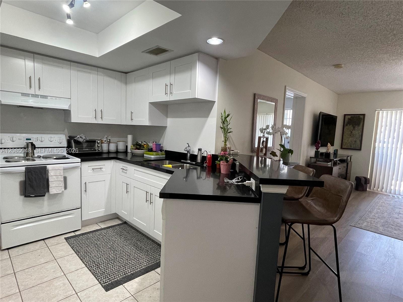 2009 SE 10th Avenue 303, Fort Lauderdale, FL 33316 photo 6
