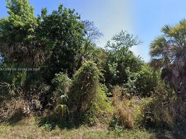 517 Fairview Avenue, Port Charlotte, FL 33952 photo 3