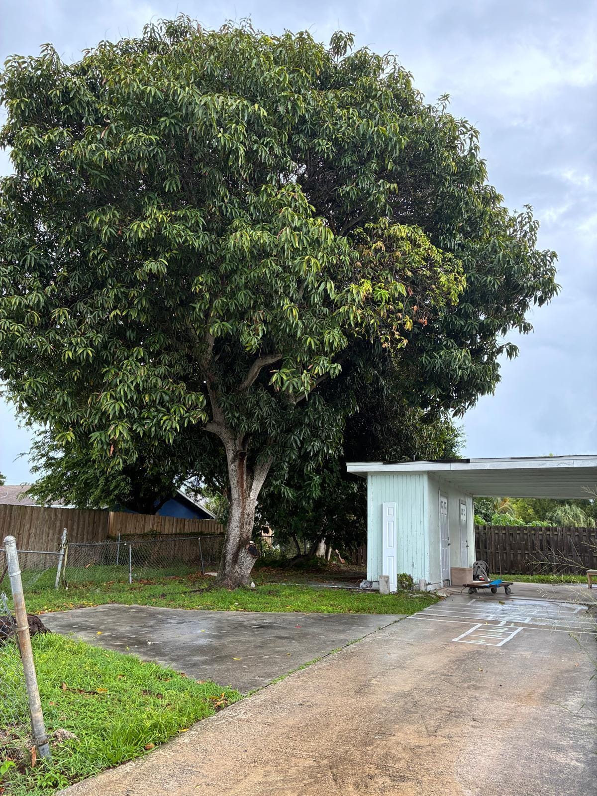 1496 W 32ND Street, West Palm Beach, FL 33404 photo 15
