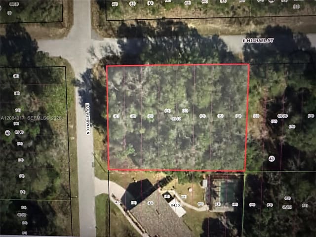 3026 E Michael Street, Inverness, FL 34453