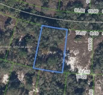 783 Clair De Lune Drive, Lake Placid, FL 33852