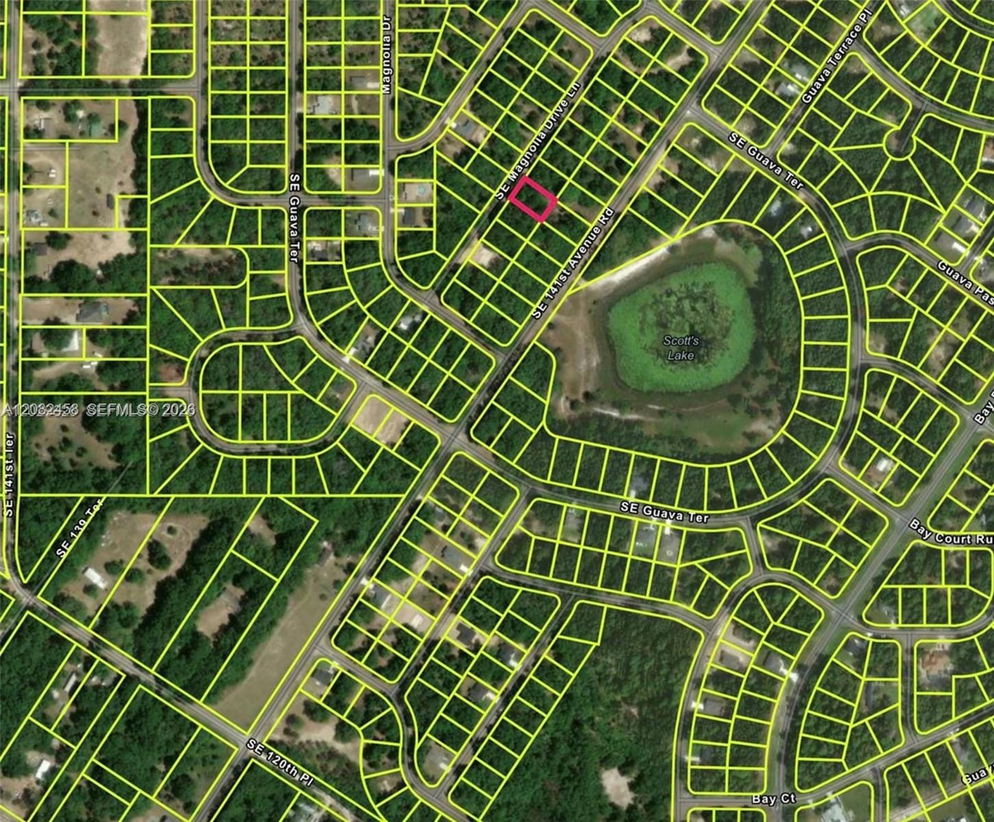 0 SE Magnolia Drive Lane, FL 32179 photo 3