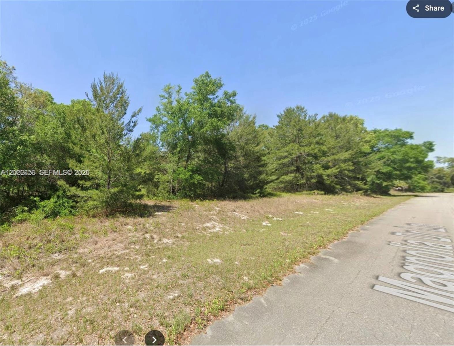 0 SE Magnolia Drive Lane, FL 32179 photo 5