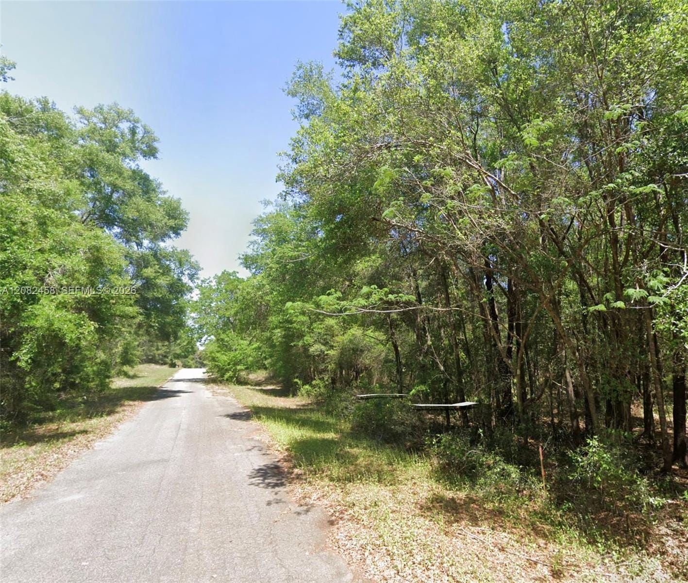 0 SE Magnolia Drive Lane, FL 32179 photo 6