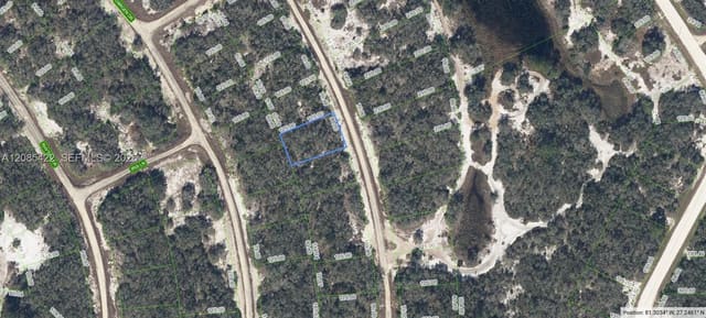 252 Crystal Lake Drive, Lake Placid, FL 33852